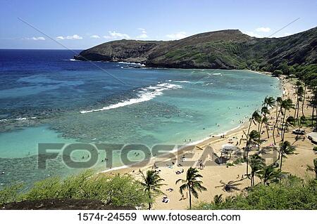 High angle view of tourists on the beach, Hanauma Bay, Oahu, Hawaii, USA View Large Photo Image Stock Photo - High angle view of tourists on the beach, Hanauma Bay, Oahu, Hawaii, USA. Fotosearch