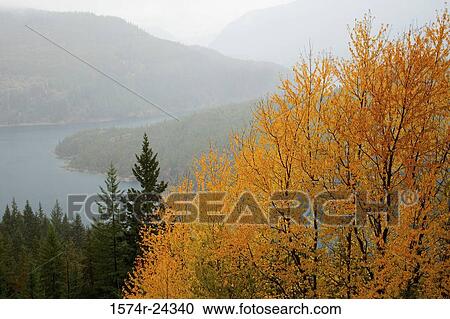 High angle view of trees along a lake, Diablo Lake, Ross Lake National Recreation Area, Washington, USA View Large Photo Image Stock Image - High angle view of trees along a lake, Diablo Lake, Ross Lake National Recreation Area, Washington, USA. Fotosearch
