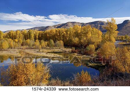 High angle view of trees along a river, Methow River, Washington, USA View Large Photo Image Stock Photo - High angle view of trees along a river, Methow River, Washington, USA. Fotosearch