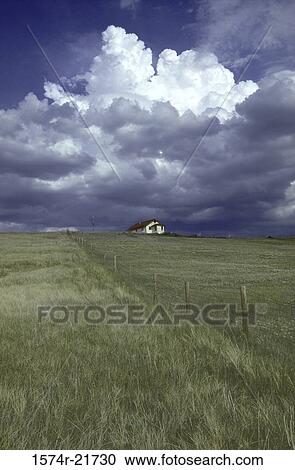 Stock Image - House in a field, Boulder, Colorado, USA. Fotosearch