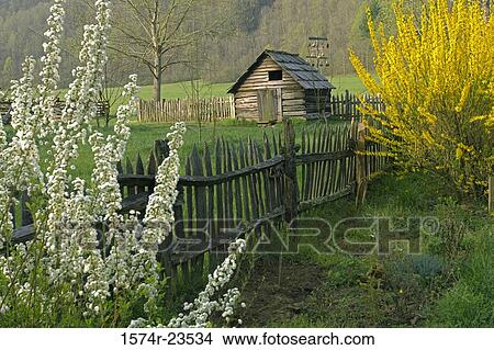 Picture - Hut in a field, Mountain Farm Museum, Great Smoky Mountains National Park, North Carolina, USA. Fotosearch