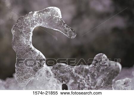 Ice sculpture of a swan View Large Photo Image Stock Photography - Ice sculpture of a swan. Fotosearch