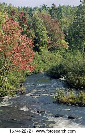 Lake Superior State Forest, Michigan, USA View Large Photo Image Stock Photo - Lake Superior State Forest, Michigan, USA. Fotosearch