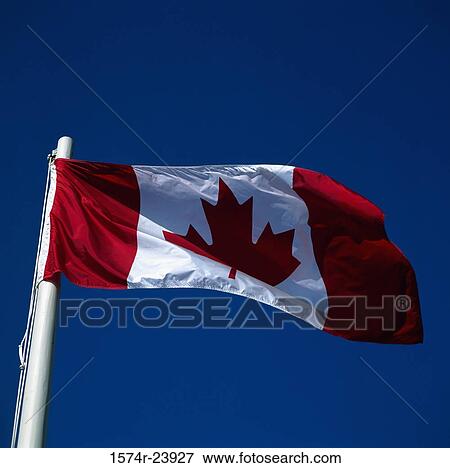 Low angle view of a Canadian flag View Large Photo Image Stock Photo - Low angle view of a Canadian flag. Fotosearch