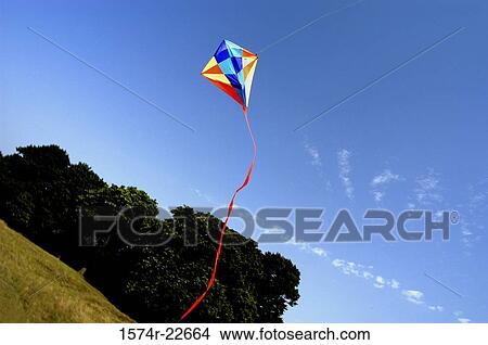 Low angle view of a kite in the sky View Large Photo Image Picture - Low angle view of a kite in the sky. Fotosearch