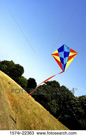 Low angle view of a kite in the sky View Large Photo Image Stock Image - Low angle view of a kite in the sky. Fotosearch