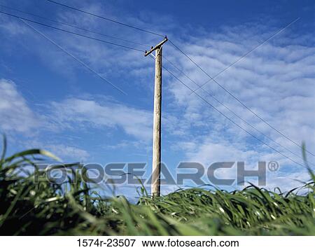 Low angle view of an electricity pylon in a field View Large Photo Image Stock Photo - Low angle view of an electricity pylon in a field. Fotosearch