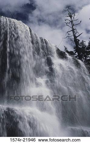 Low angle view of Tsusiat Falls, Pacific Rim National Park, British Columbia, Canada View Large Photo Image Stock Photograph - Low angle view of Tsusiat Falls, Pacific Rim National Park, British Columbia, Canada. Fotosearch
