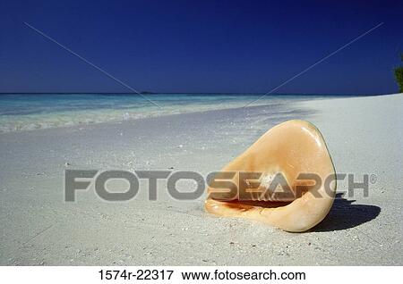 Stock Photo - Maldives. Fotosearch