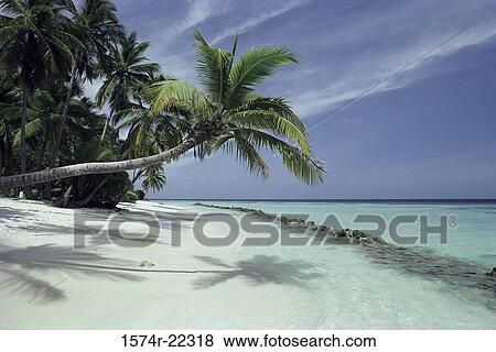 Stock Photo - Maldives. Fotosearch