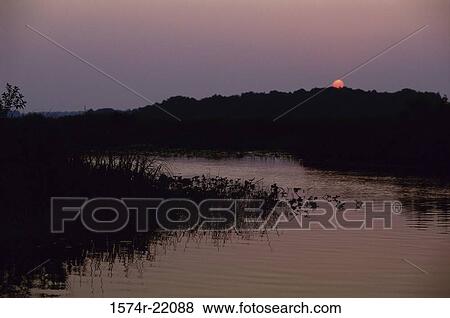 Marshland at sunset View Large Photo Image Stock Photo - Marshland at sunset. Fotosearch