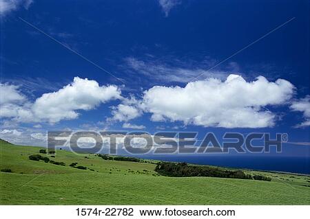 North Kohala Hawaii USA View Large Photo Image Stock Image - North Kohala Hawaii USA. Fotosearch