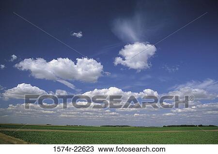 Panoramic view of a field, France View Large Photo Image Stock Image - Panoramic view of a field, France. Fotosearch