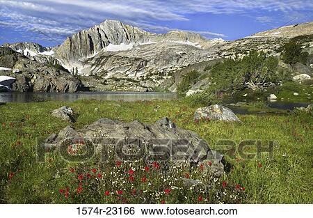 Panoramic view of a landscape, Mount Conness, California, USA View Large Photo Image Stock Photograph - Panoramic view of a landscape, Mount Conness, California, USA. Fotosearch