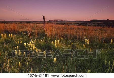 Panoramic view of a landscape View Large Photo Image Stock Image - Panoramic view of a landscape. Fotosearch