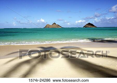Panoramic view of the ocean, Lanikai Beach, Oahu, Hawaii, USA View Large Photo Image Stock Photograph - Panoramic view of the ocean, Lanikai Beach, Oahu, Hawaii, USA. Fotosearch