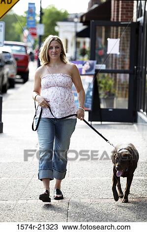 Stock Image - Pregnant woman walking with her dog on a sidewalk. Fotosearch