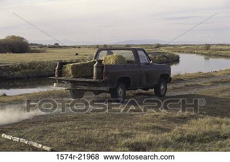 Stock Photo - Rear view of hay on a pick-up truck. Fotosearch
