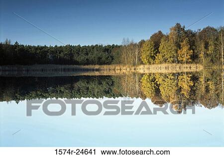 Reflection of trees in water, Czech Republic View Large Photo Image Stock Image - Reflection of trees in water, Czech Republic. Fotosearch
