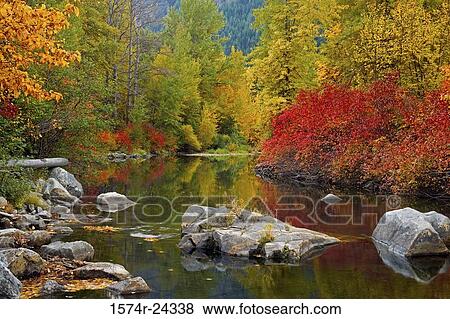 Reflection of trees in water, Nason Creek, Stevens Pass, Washington, USA View Large Photo Image Stock Photo - Reflection of trees in water, Nason Creek, Stevens Pass, Washington, USA. Fotosearch