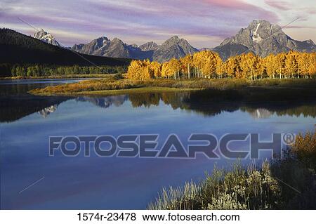 Reflection of trees in water, Snake River, Grand Teton National Park, Wyoming, USA View Large Photo Image Stock Photo - Reflection of trees in water, Snake River, Grand Teton National Park, Wyoming, USA. Fotosearch