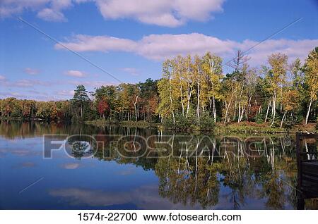 Reflection of trees in water, Wisconsin, USA View Large Photo Image Stock Image - Reflection of trees in water, Wisconsin, USA. Fotosearch