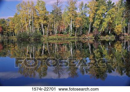 Stock Image - Reflection of trees in water, Wisconsin, USA. Fotosearch