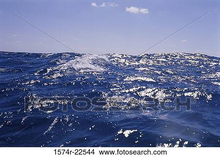 Ripples on the surface of water View Large Photo Image Picture - Ripples on the surface of water. Fotosearch