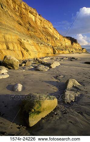 Rocks on the beach, Torrey Pines State Reserve, California, USA View Large Photo Image Stock Photograph - Rocks on the beach, Torrey Pines State Reserve, California, USA. Fotosearch