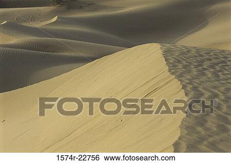 Sand dunes in a desert, Sam Desert, Rajasthan, India View Large Photo Image Stock Photograph - Sand dunes in a desert, Sam Desert, Rajasthan, India. Fotosearch