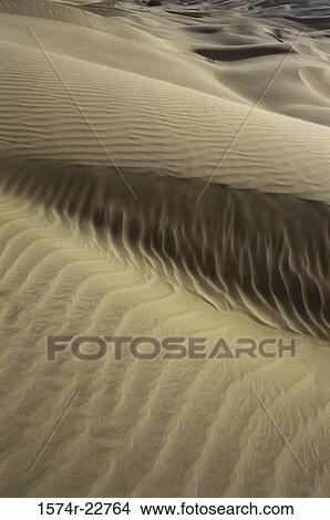 Sand dunes in Khudi Desert, Rajasthan, India View Large Photo Image Picture - Sand dunes in Khudi Desert, Rajasthan, India. Fotosearch
