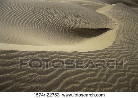 Sand dunes in Khudi Desert, Rajasthan, India View Large Photo Image Stock Image - Sand dunes in Khudi Desert, Rajasthan, India. Fotosearch