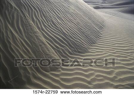 Sand dunes in Khudi Desert, Rajasthan, India View Large Photo Image Stock Photo - Sand dunes in Khudi Desert, Rajasthan, India. Fotosearch