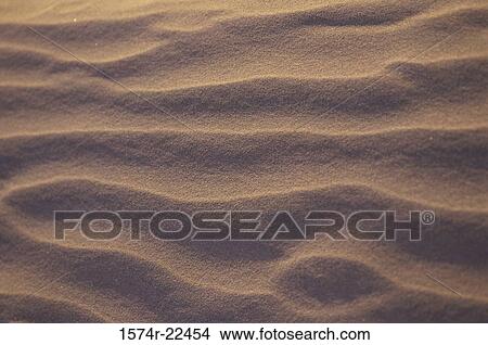Sand dunes in the desert, Jaisalmer, Rajasthan, India View Large Photo Image Picture - Sand dunes in the desert, Jaisalmer, Rajasthan, India. Fotosearch