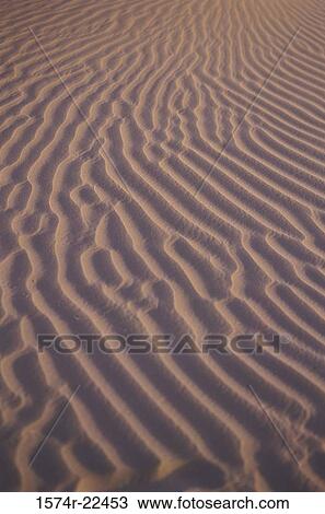 Sand dunes in the desert, Jaisalmer, Rajasthan, India View Large Photo Image Stock Image - Sand dunes in the desert, Jaisalmer, Rajasthan, India. Fotosearch