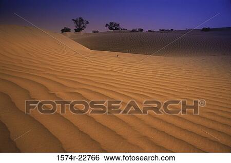 Sand dunes, Jaisalmer, Rajasthan, India View Large Photo Image Stock Photograph - Sand dunes, Jaisalmer, Rajasthan, India. Fotosearch