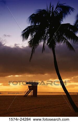 Silhouette of a lifeguard hut on the beach, Ala Moana Beach Park, Honolulu, Oahu, Hawaii, USA View Large Photo Image Picture - Silhouette of a lifeguard hut on the beach, Ala Moana Beach Park, Honolulu, Oahu, Hawaii, USA. Fotosearch