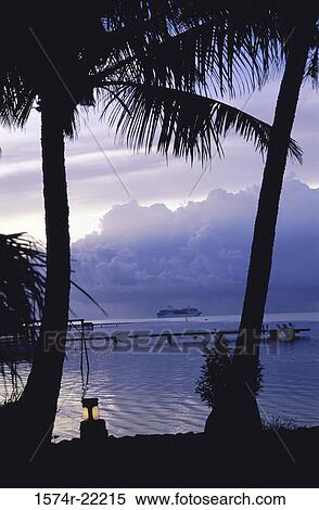 Silhouette of palm trees, Tahiti, French Polynesia View Large Photo Image Stock Photography - Silhouette of palm trees, Tahiti, French Polynesia. Fotosearch