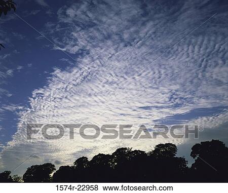 Silhouette of trees and clouds in a blue sky View Large Photo Image Stock Photo - Silhouette of trees and clouds in a blue sky. Fotosearch