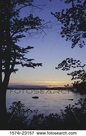 Silhouette of trees at dusk, Kejimkujik National Park, Nova Scotia, Canada View Large Photo Image Stock Photo - Silhouette of trees at dusk, Kejimkujik National Park, Nova Scotia, Canada. Fotosearch