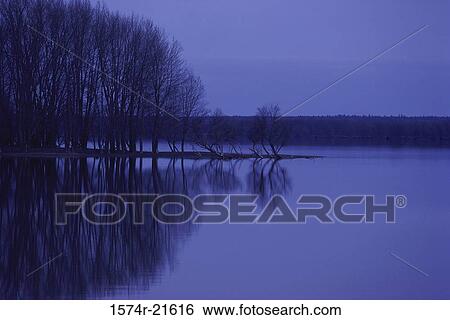 Silhouette of trees at St. John River, New Brunswick, Canada View Large Photo Image Stock Photograph - Silhouette of trees at St. John River, New Brunswick, Canada. Fotosearch