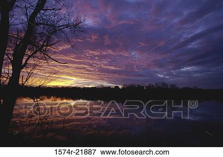 Silhouette of trees during sunset, Barber, Kansas, USA View Large Photo Image Stock Photo - Silhouette of trees during sunset, Barber, Kansas, USA. Fotosearch
