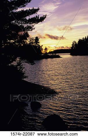 Silhouette of trees during sunset View Large Photo Image Stock Photo - Silhouette of trees during sunset. Fotosearch