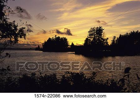 Silhouette of trees during sunset View Large Photo Image Stock Photograph - Silhouette of trees during sunset. Fotosearch