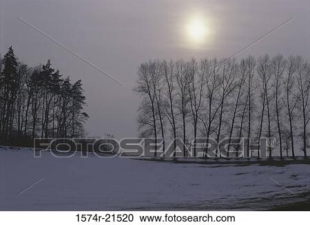 Stock Image - Silhouette of trees in winter. Fotosearch