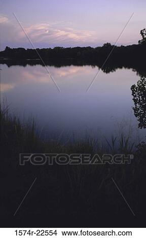Silhouette of trees near a lake during sunset, Kansas, USA View Large Photo Image Picture - Silhouette of trees near a lake during sunset, Kansas, USA. Fotosearch