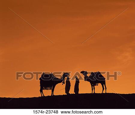 Silhouette of two people standing with two camels in a desert, Cairo, Egypt View Large Photo Image Stock Photo - Silhouette of two people standing with two camels in a desert, Cairo, Egypt. Fotosearch