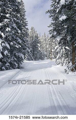Snow covered path, Sun Valley, Idaho, USA View Large Photo Image Stock Photography - Snow covered path, Sun Valley, Idaho, USA. Fotosearch