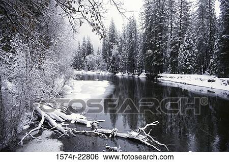 Snow covered trees at the Merced River, California, USA View Large Photo Image Stock Photograph - Snow covered trees at the Merced River, California, USA. Fotosearch