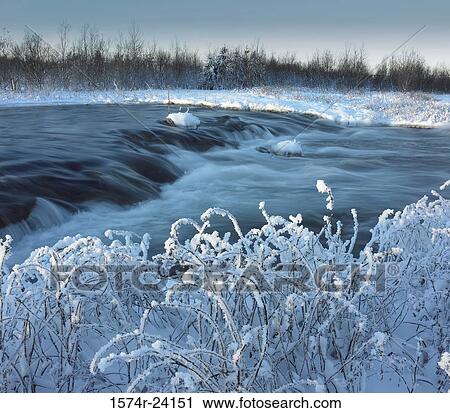 Stock Image - Snow covering bushes at the riverside, Ellidaar River, Iceland. Fotosearch